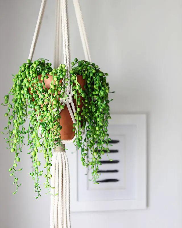 String of Pearl Artificial Plant Hanging by Nearly Natural, green bead vines on white macramé on Tampa Home & Garden Store