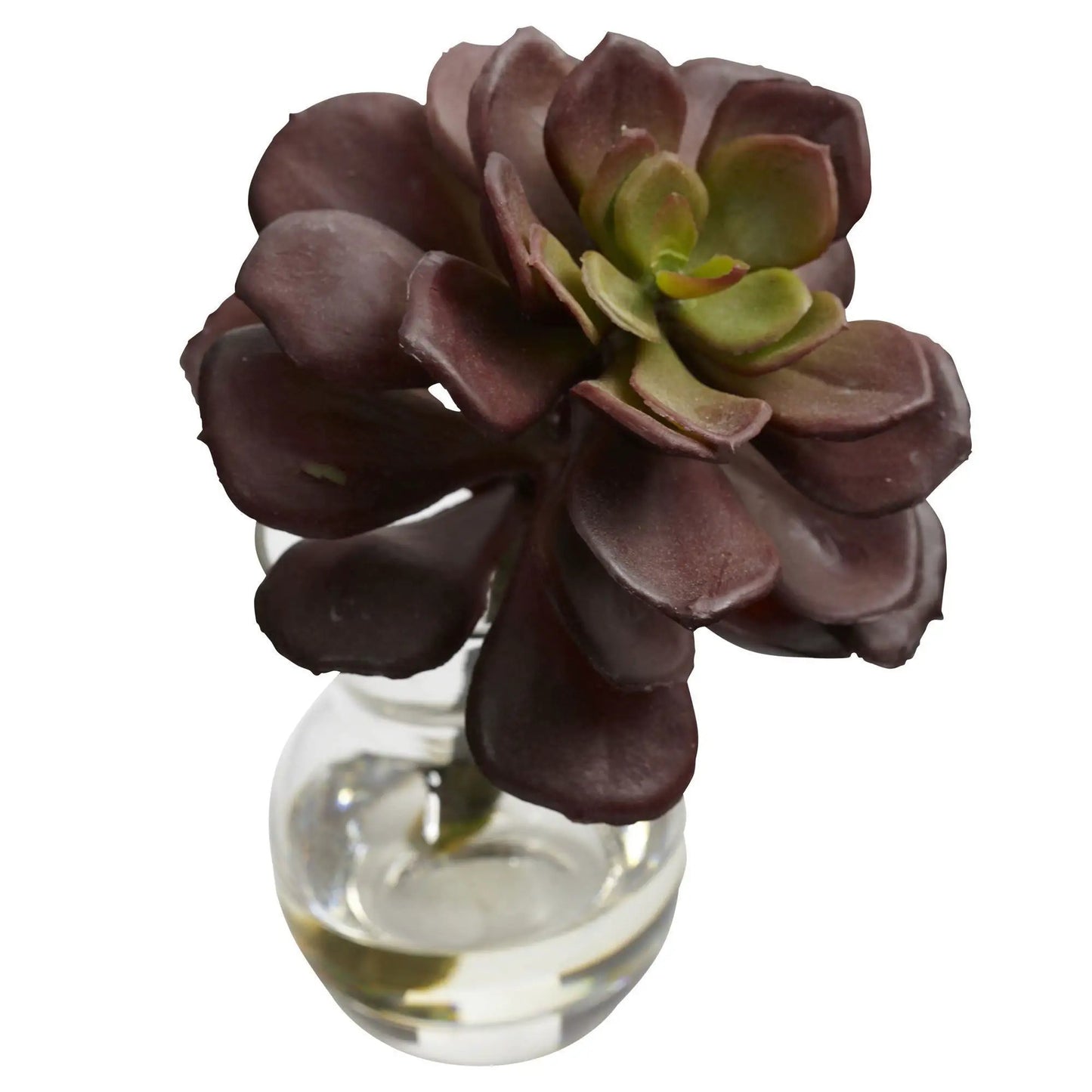 Three burgundy succulent arrangements in glass vases, Nearly Natural artificial plants on Tampa Home & Garden Store