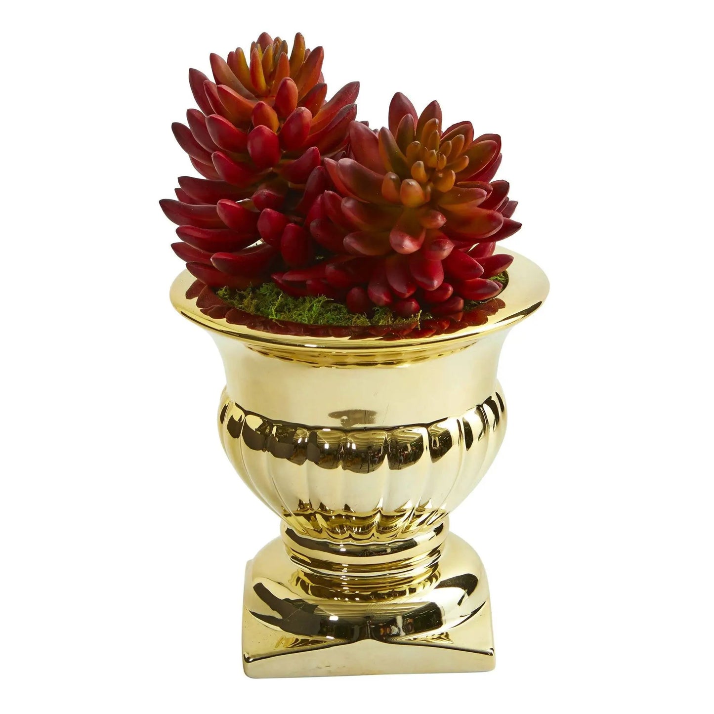 Succulent artificial plant with red-orange leaves in a glossy gold urn planter on Tampa Home & Garden Store