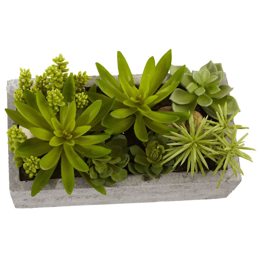Succulent Garden w/Concrete Planter - Tampa Home & Garden Store