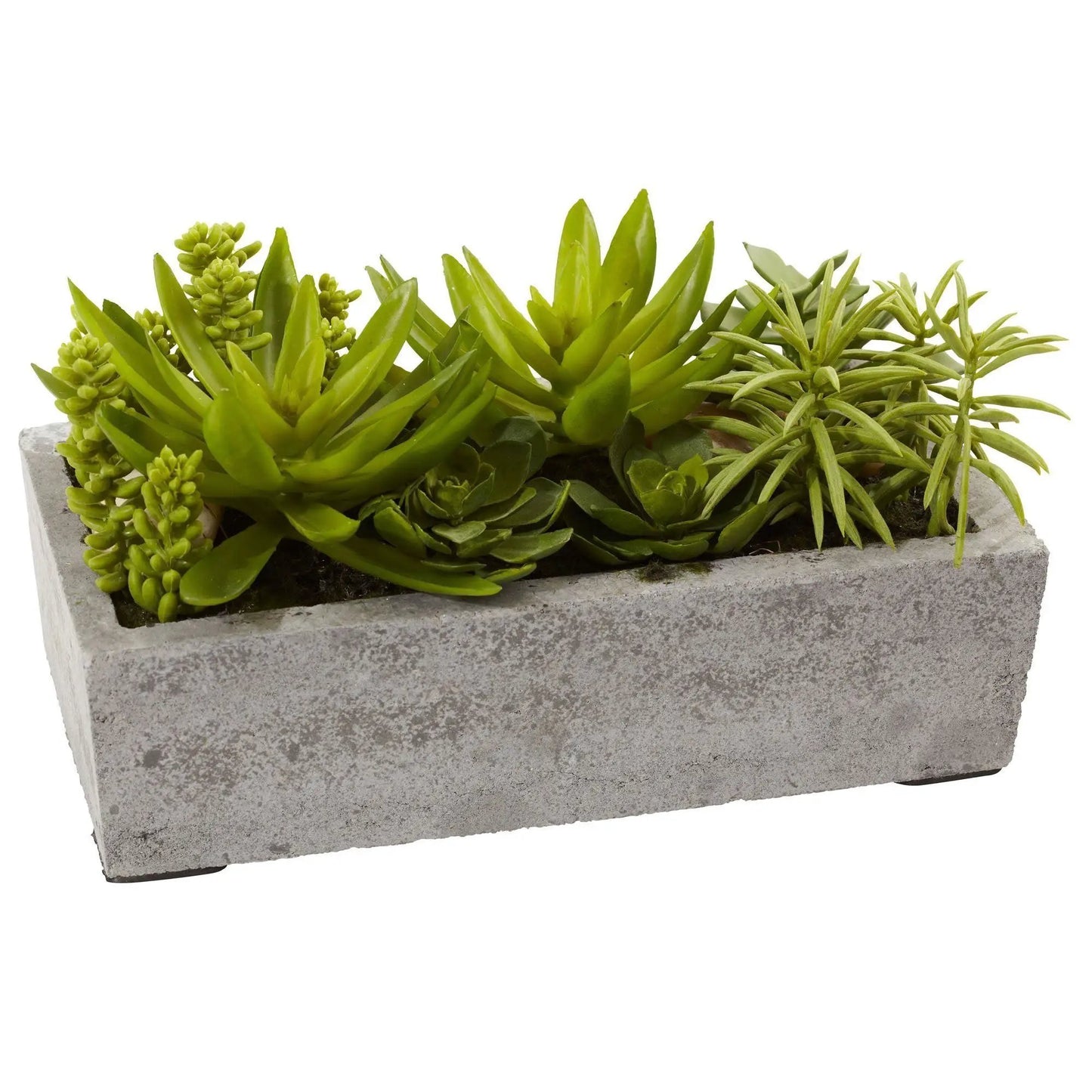 Succulent garden in a textured concrete planter by Nearly Natural on Tampa Home & Garden Store