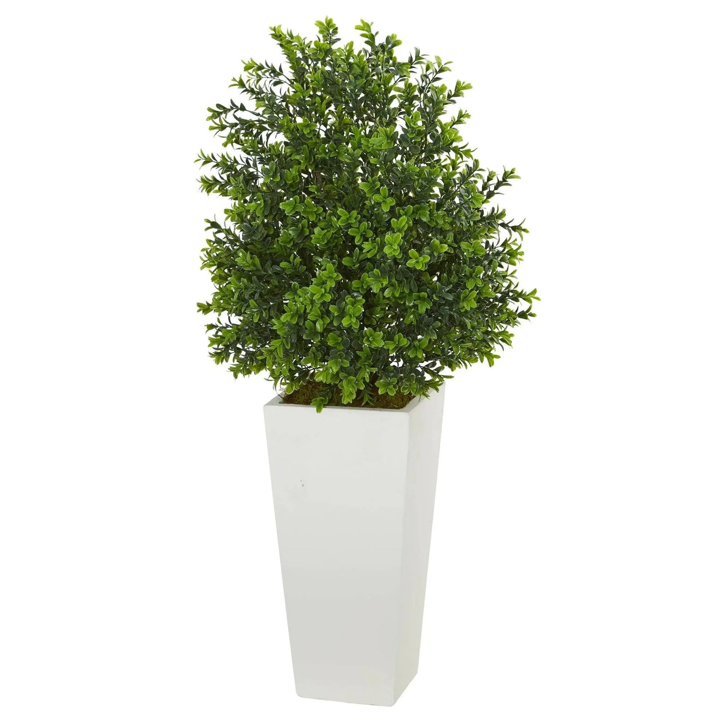 Sweet Grass artificial plant in white planter, Nearly Natural, 33in tall on Tampa Home & Garden Store