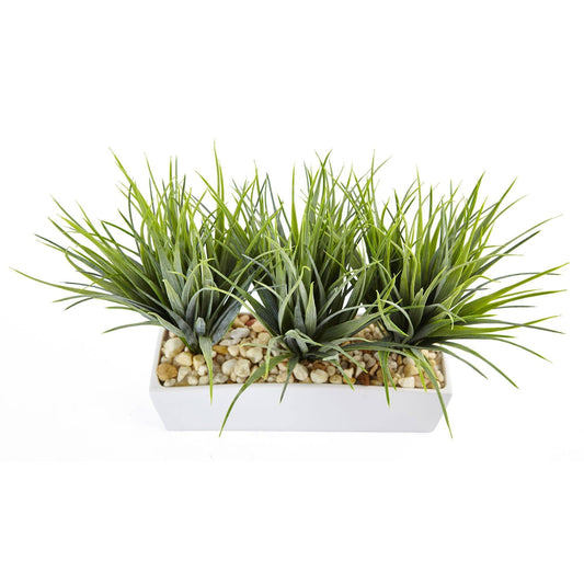Vanilla Grass in Rectangular Planter - Tampa Home & Garden Store