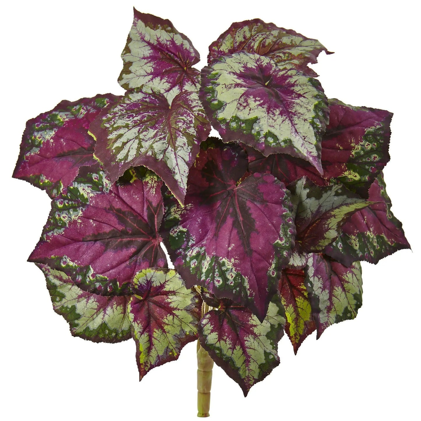 Wax Begonia Bush Set of 6 by Nearly Natural with purple and green variegated leaves on Tampa Home & Garden Store