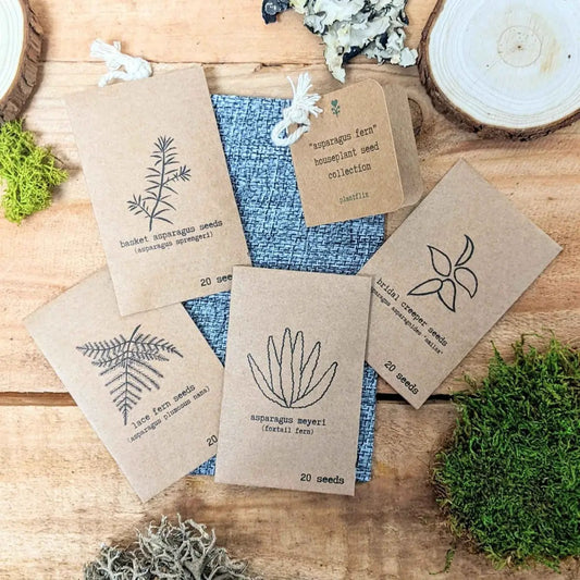 Asparagus fern seed collection packets on kraft cards by Plantflix, 6 seed packets with fern art on Tampa Home & Garden Store
