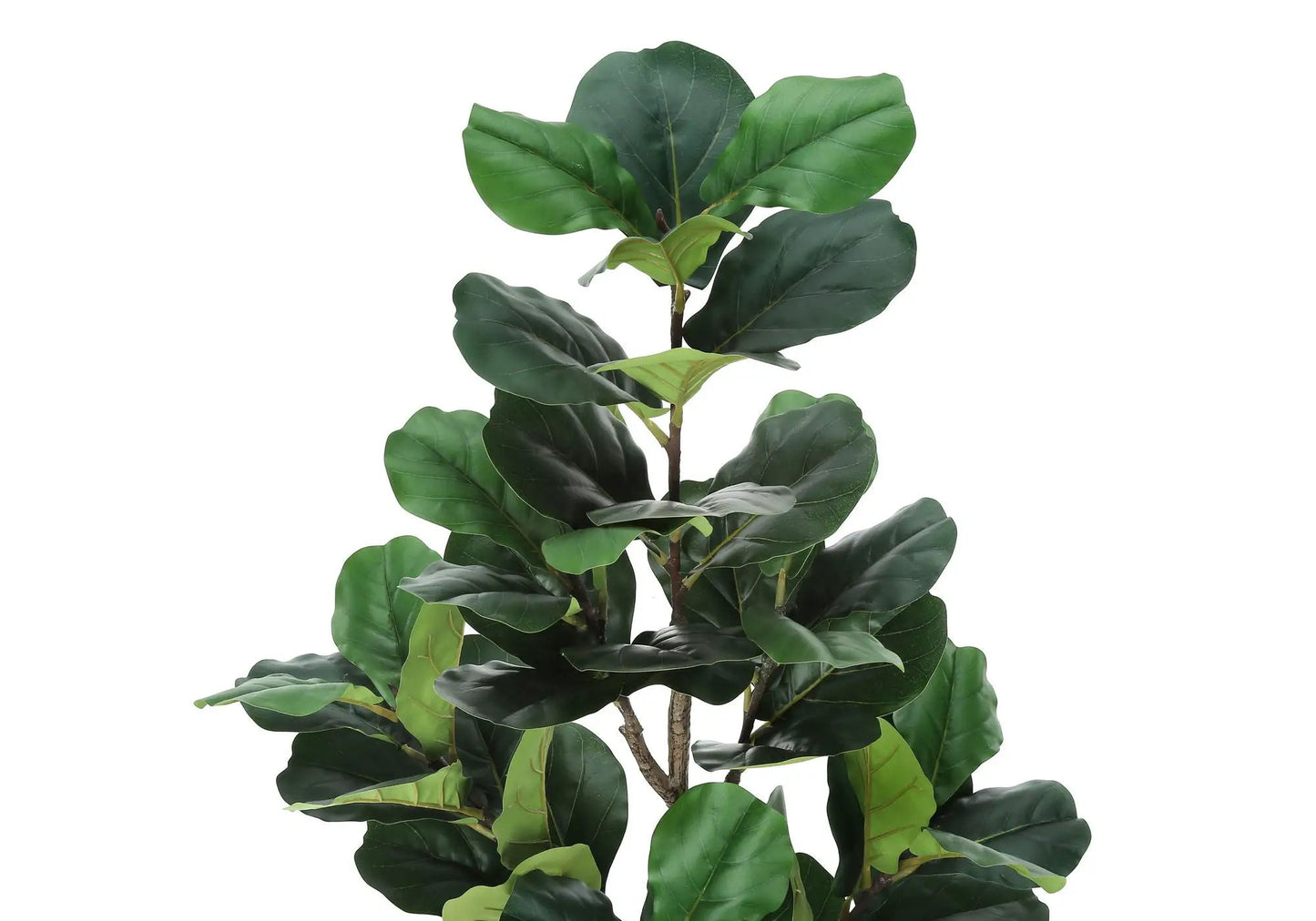 Fiddle Tree artificial plant 49in tall with large glossy green leaves and brown stems on Tampa Home & Garden Store