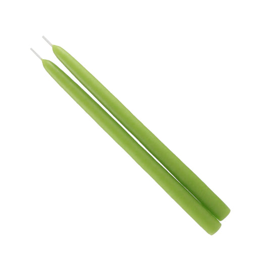 Mole Hollow Taper Candles lime green, two tapers on Tampa Home & Garden Store