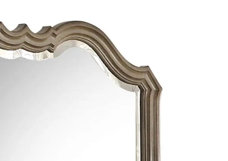 Chelmsford Taupe Mirror With Beveled Edge
