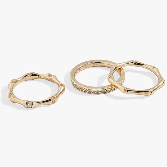 Bamboo Trio Ring Set by ALEX AND ANI, three gold-tone bamboo-link rings with stones on Tampa Home & Garden Store