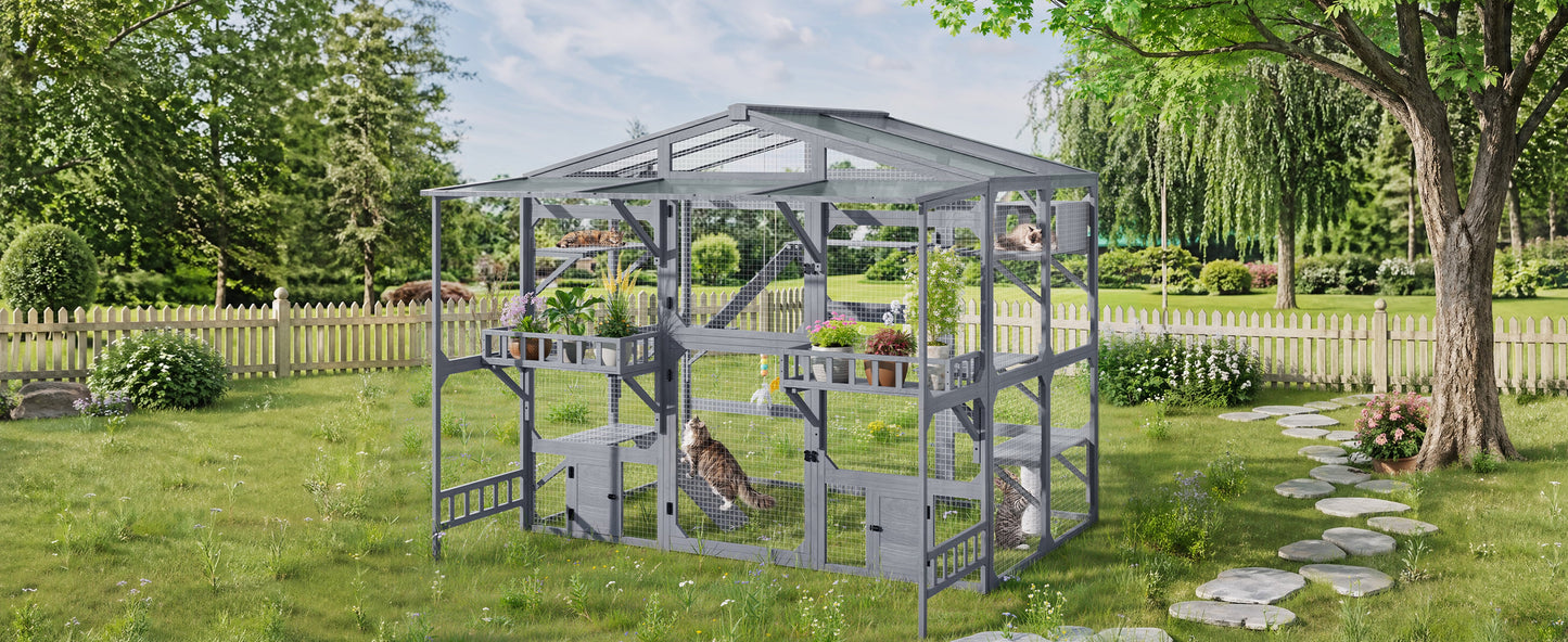 Premium Outdoor Catio and Shelter for the Cats
