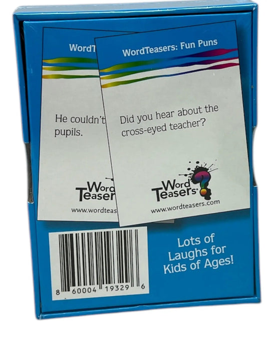 Fun Puns Word Teaser Card Game for Kids, blue box, by The Country Christmas Loft on Tampa Home & Garden Store