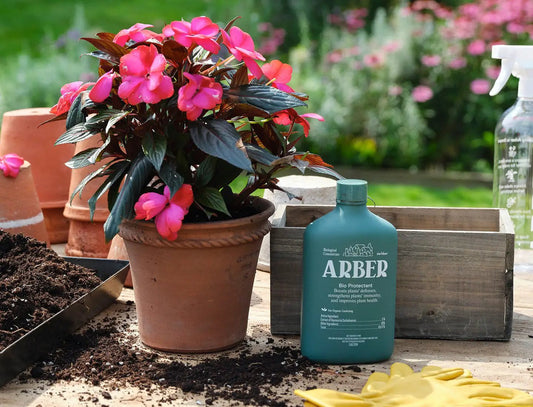Organic Bio Protectant bottle by Arber in teal beside flowering plant in a terracotta pot on Tampa Home & Garden Store