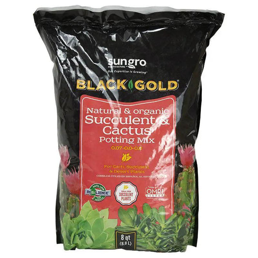 Black Gold Cactus Mix and Succulent Soil | Succulent and Cactus Soil - Tampa Home & Garden Store