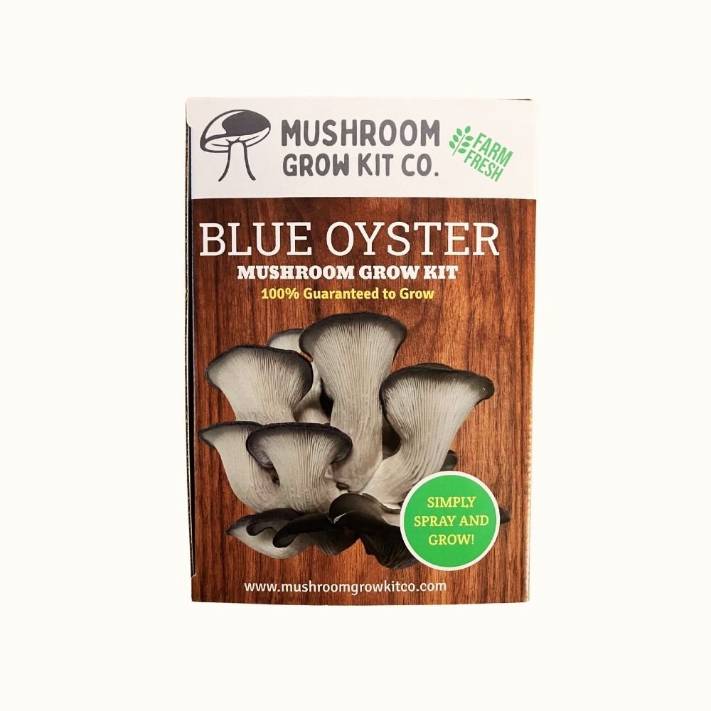 Kit de cultivo de setas ostra azules premium - 5 LBS