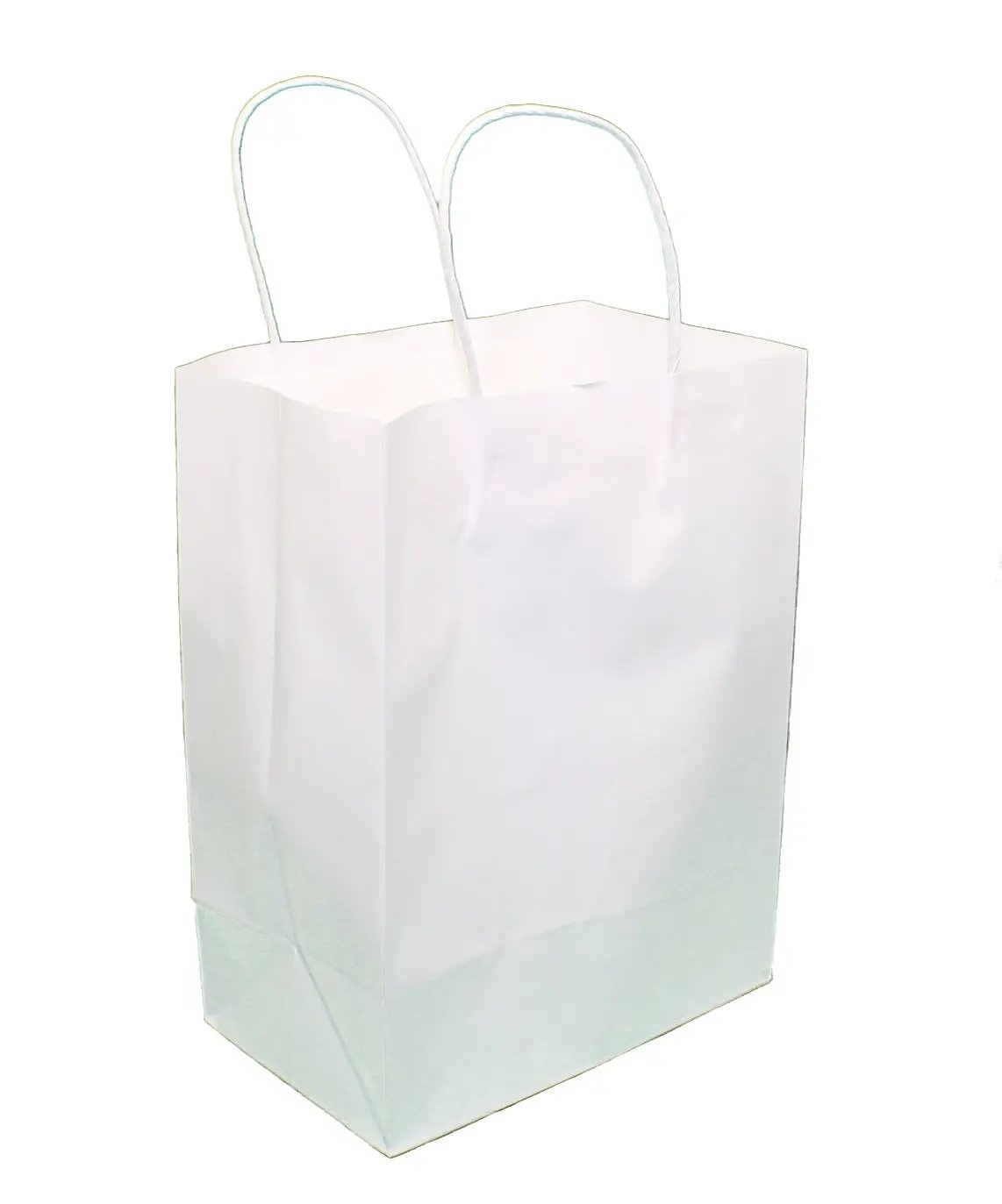Medium Kraft White Gift Bag Set of 12 - Tampa Home & Garden Store