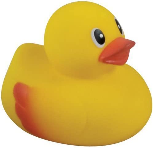 Lil Yellow Rubber Duck Bath Toy by The Country Christmas Loft, floating bath toy on Tampa Home & Garden Store