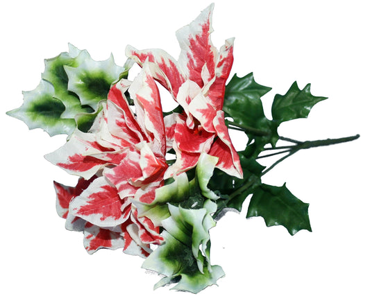 Variegated Poinsettia Stem - Tampa Home & Garden Store
