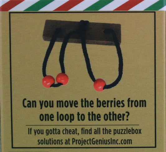 Holiday Puzzlebox Brainteaser with red berry loops on black cords forming two loops on Tampa Home & Garden Store