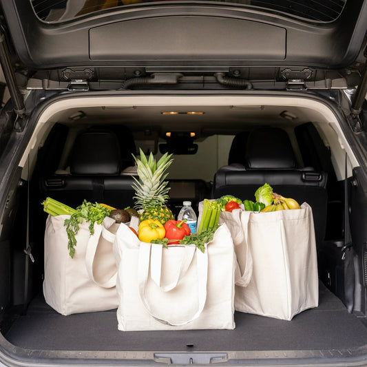 Three Canvas Jumbo Tote Bags with Pockets and Handles, beige canvas, groceries in car trunk on Tampa Home & Garden Store