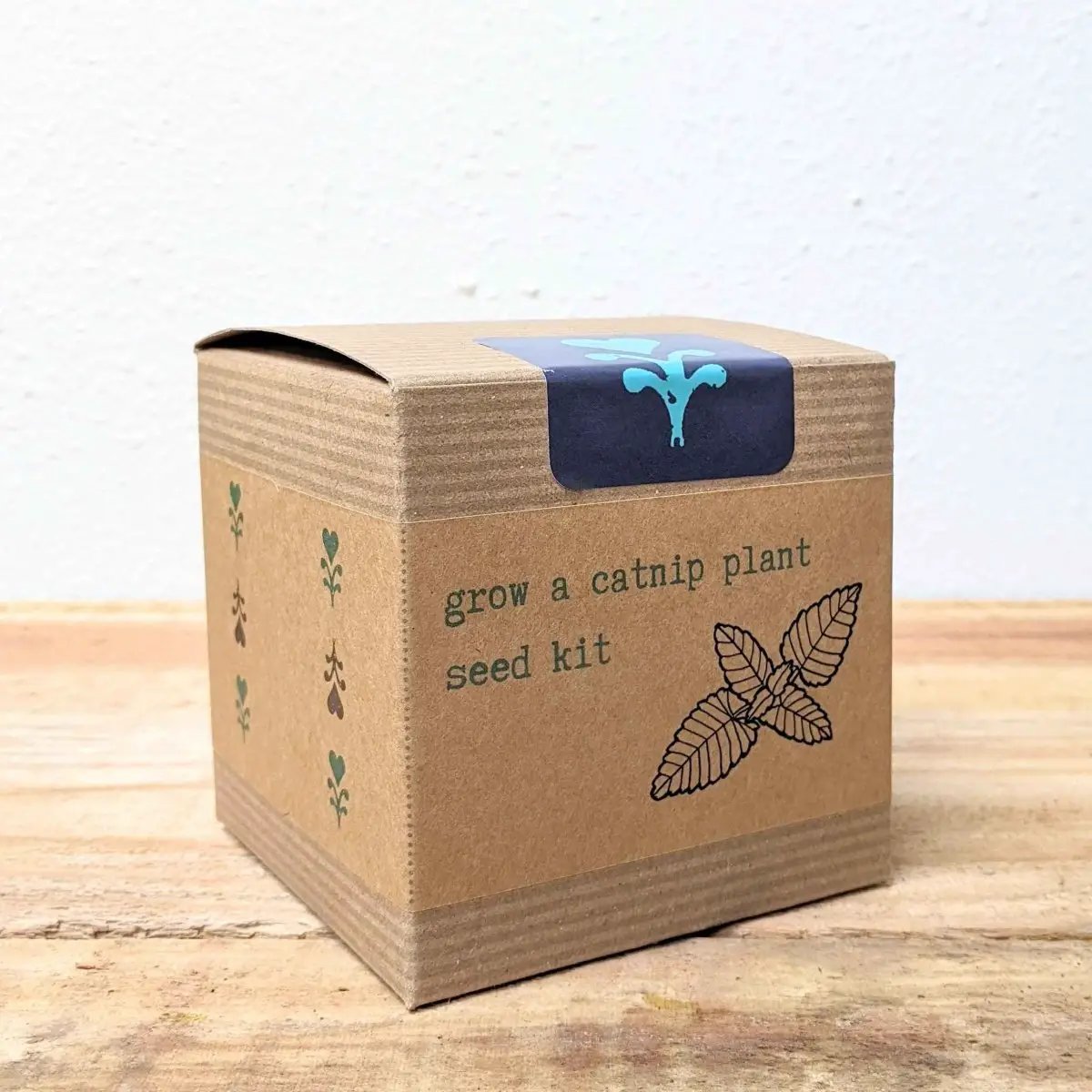 Catnip seed kit box in brown cardboard with blue top label for home gardeners on Tampa Home & Garden Store