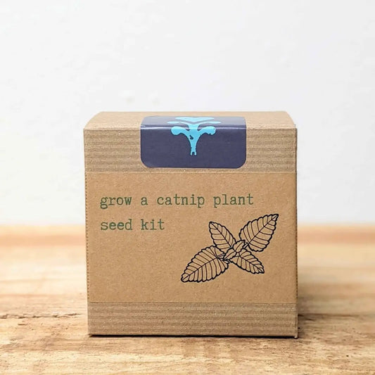 Catnip Beginner Grow Kit seed box in kraft cardboard by Plantflix with blue label on Tampa Home & Garden Store