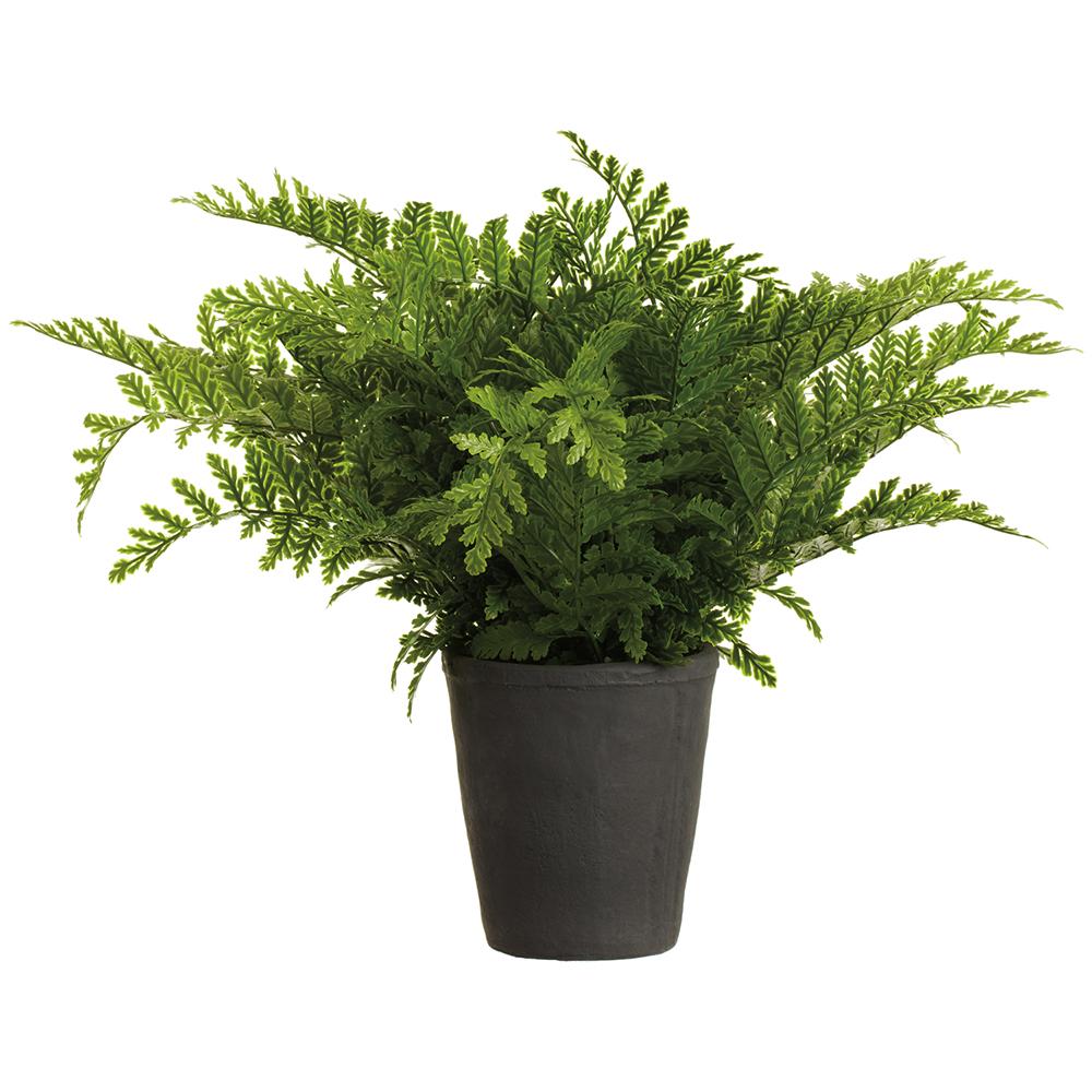 20in Leather Fern Plant artificial in dark cement pot by Thenestedfig on Tampa Home & Garden Store