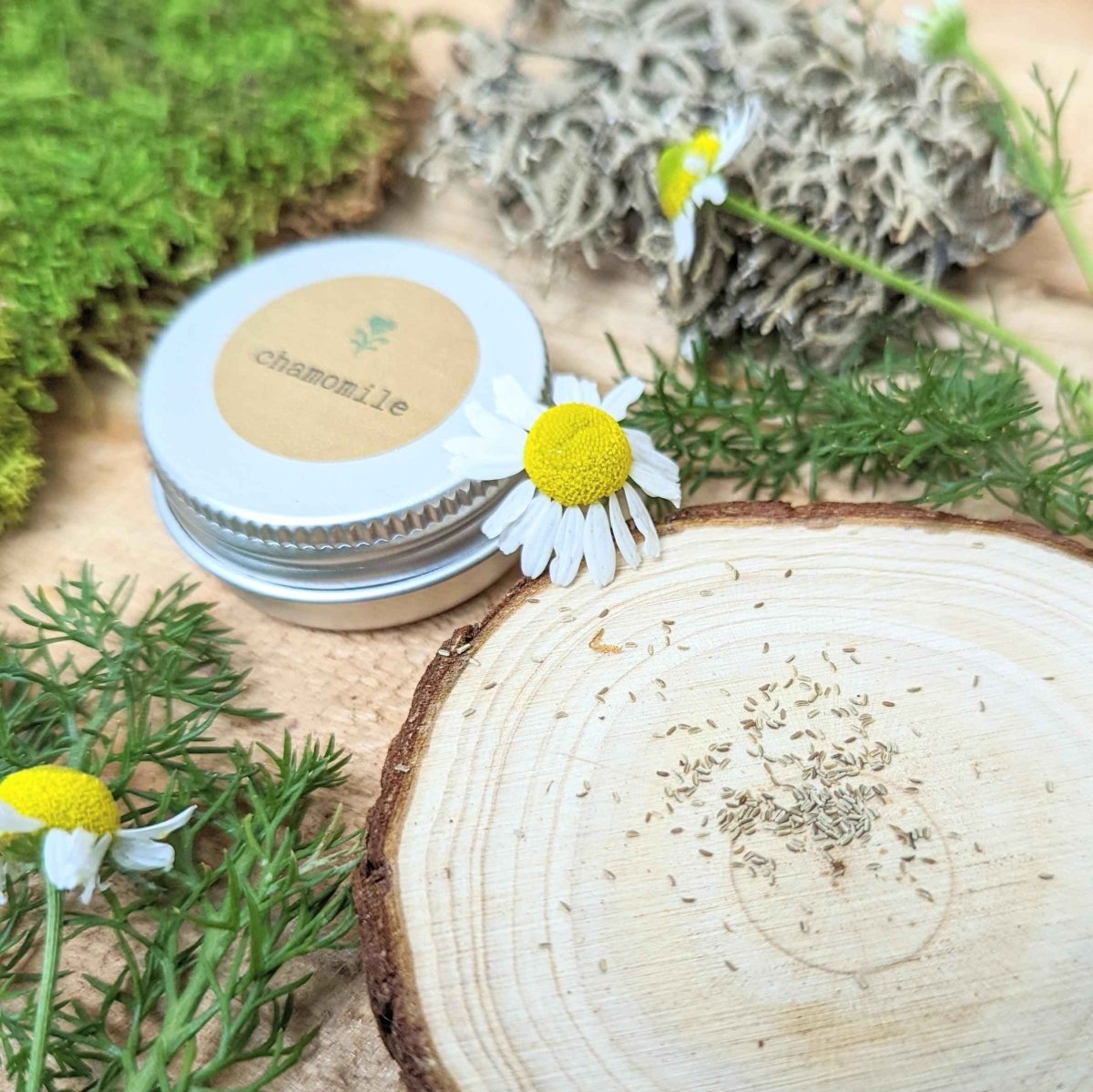 Chamomile Seeds - Tampa Home & Garden Store