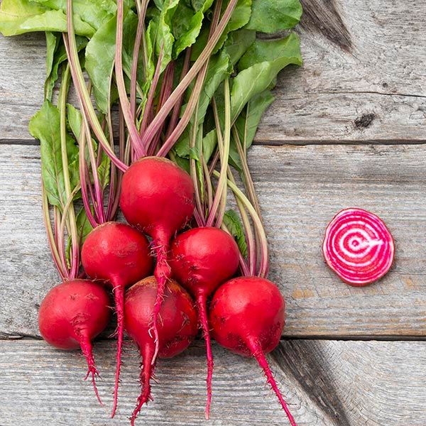 Guardsmark Chioggia beet roots with greens; red beets with pink-ring cross section on rustic wood on Tampa Home & Garden Store