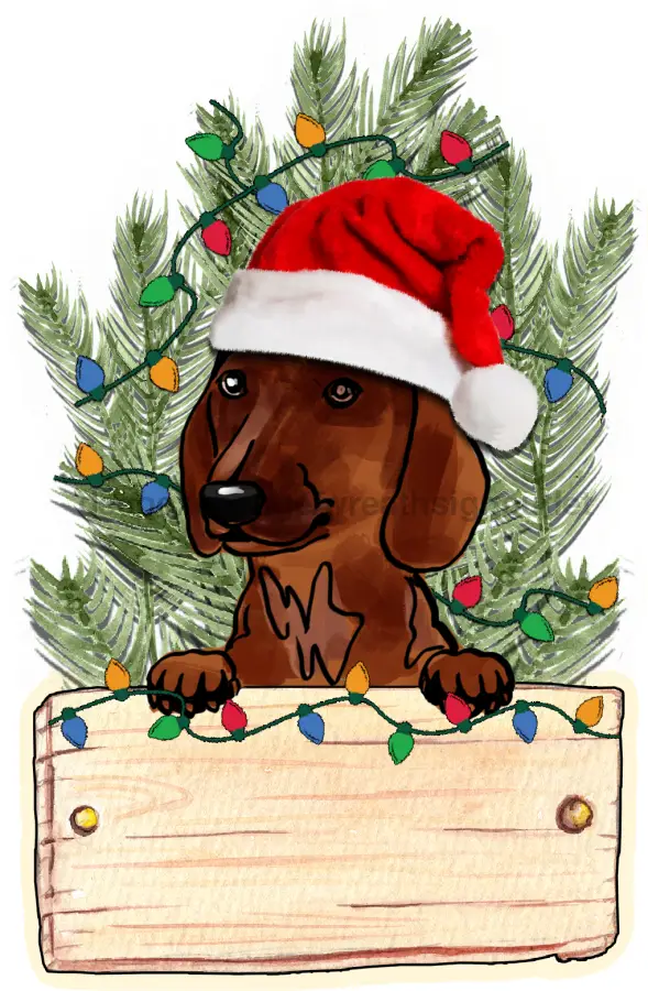Christmas Dog Door Sign birch wood hanger with Santa hat dachshund and colorful lights on Tampa Home & Garden Store