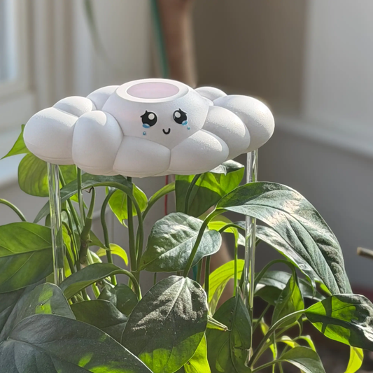 Clara the Rain Cloud planter, pink center cloud perched on glass stakes above green leaves on Tampa Home & Garden Store
