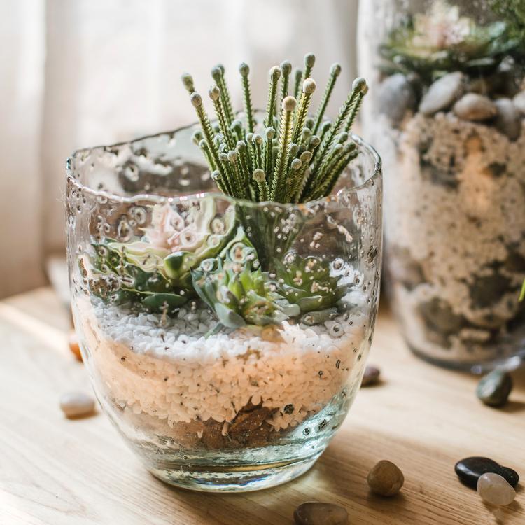 Clear art glass vase by RusticReach with succulents, cactus stems and white gravel layers on Tampa Home & Garden Store