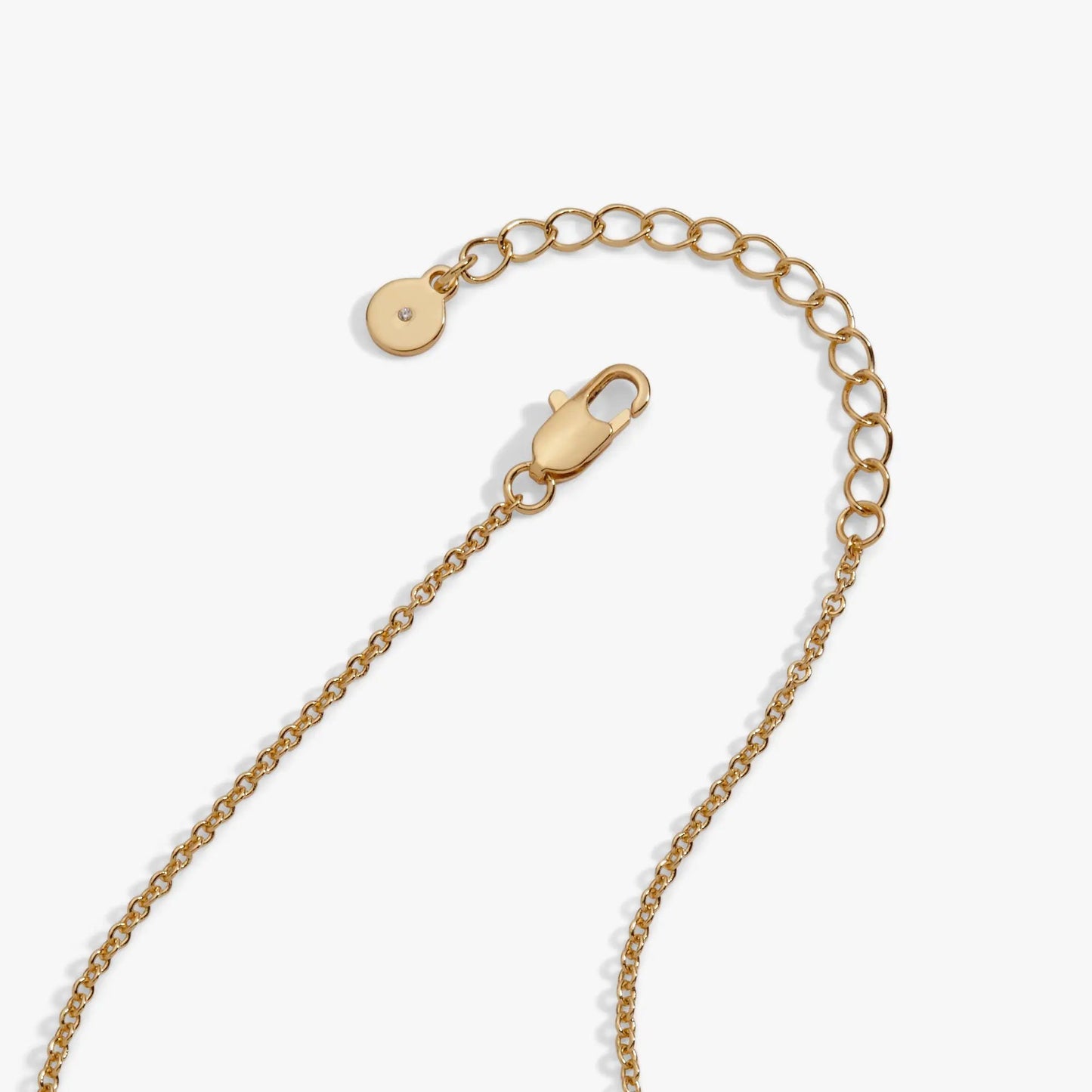 Coffee bean pendant necklace by ALEX AND ANI in gold-tone with gemstone on Tampa Home & Garden Store