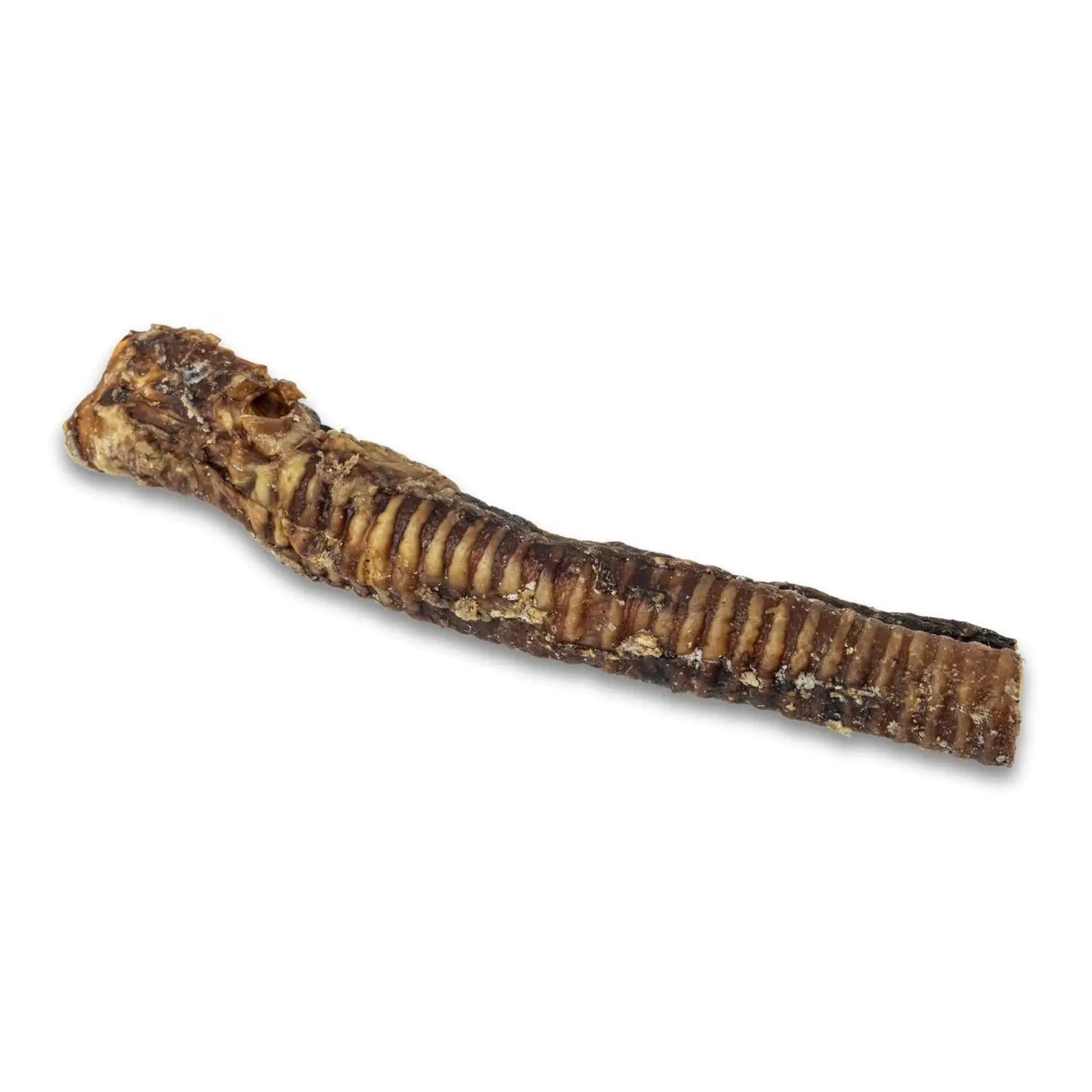 Country Living Beef Trachea Treats for Dogs brown ribbed chew on Tampa Home & Garden Store