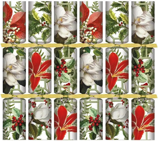 Christmas Garden Crackers 12 Inch Festive floral wrap with magnolia, amaryllis and berries on Tampa Home & Garden Store