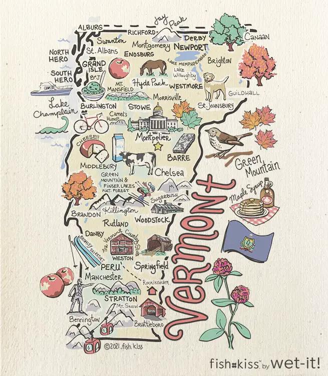 Swedish Wet Cloth Vermont sponge cloth with Vermont map by wet-it! on Tampa Home & Garden Store