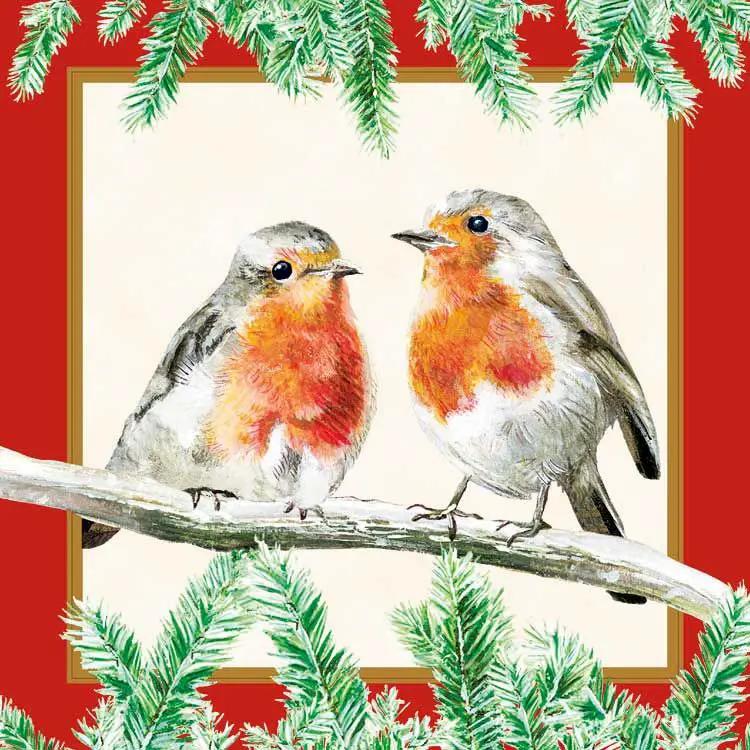 Paper Lunch Napkins Robins Red 3 Ply Pack featuring two red-breasted robins on a branch on Tampa Home & Garden Store