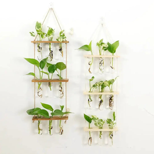 Glass wall hanging plant hangers pair with wooden holders by Decorbites, tubes show plants on Tampa Home & Garden Store