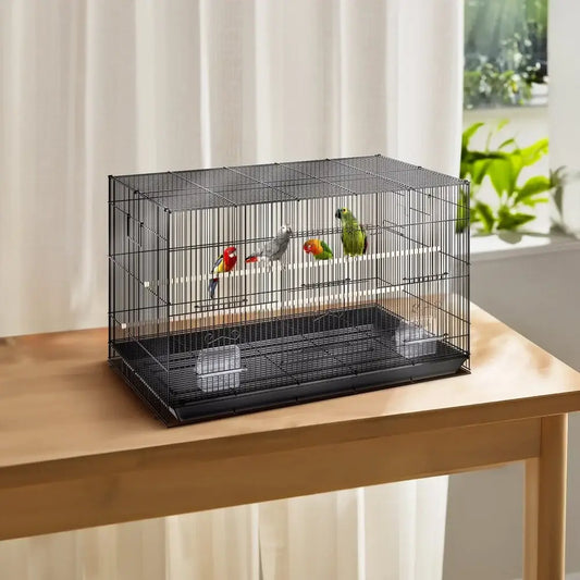 Decorbites large black metal bird cage for small birds with four colorful birds inside on Tampa Home & Garden Store