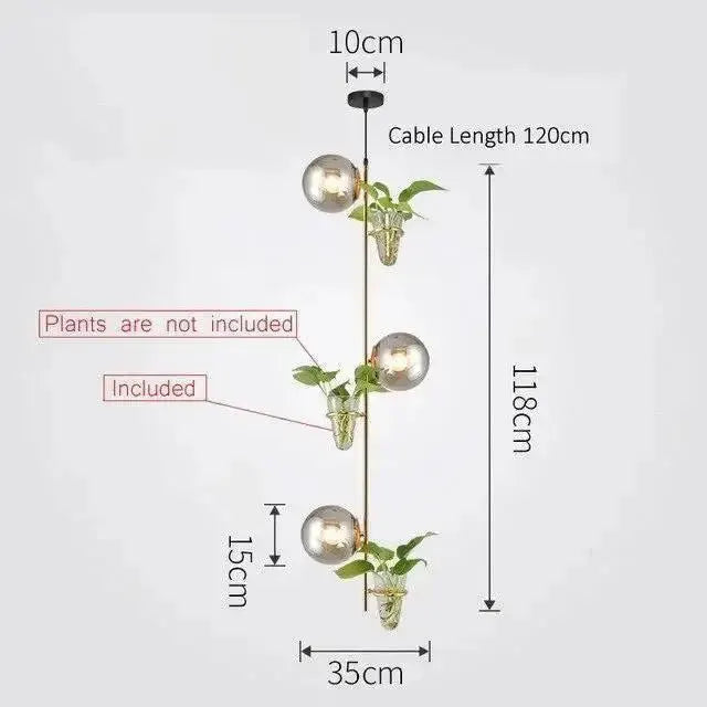 Modern black Decorbites pendant light with three glass globe planters; plants not included on Tampa Home & Garden Store