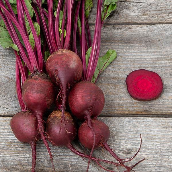Detroit Dark Red Beet roots (8) with purple stems, Seedtime Store beet seeds on Tampa Home & Garden Store