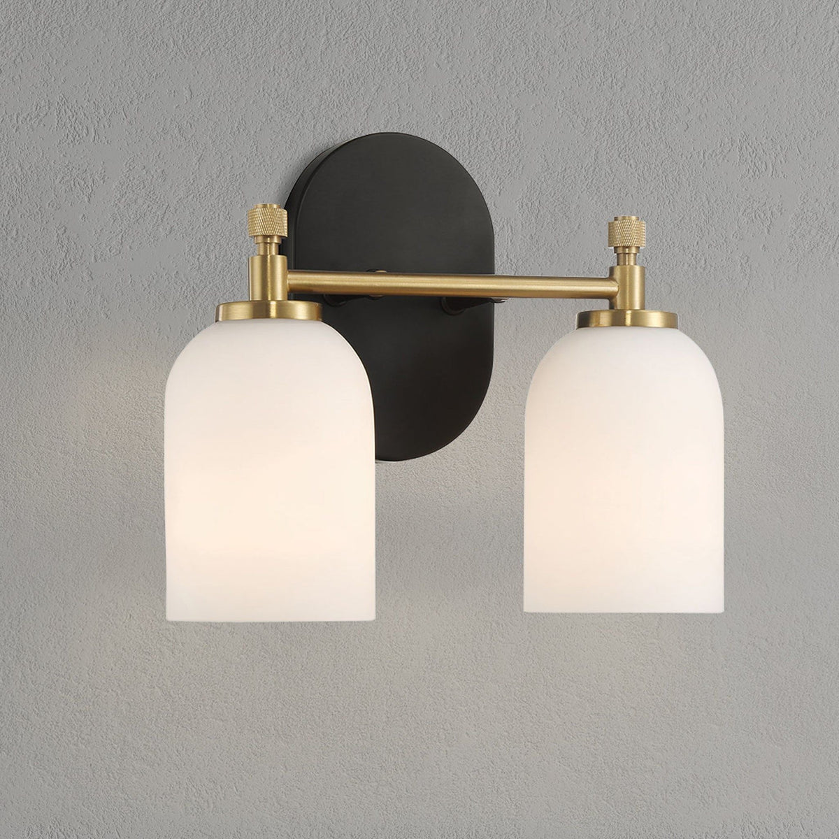 2-light vanity wall sconce with frosted glass shades, black backplate and brass hardware on Tampa Home & Garden Store