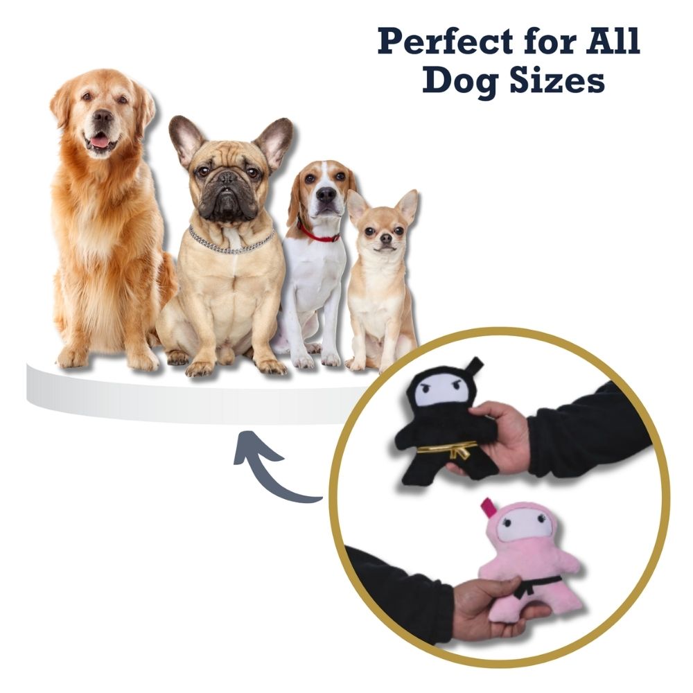 Pink and Black Ninja Love Plush Dog Toy Set with squeakers by American Pet Supplies on Tampa Home & Garden Store