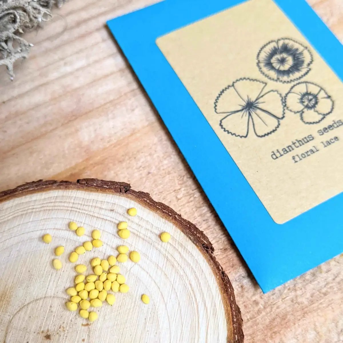 Dianthus seeds in blue Plantflix package with floral sketch label and yellow seeds on wood slice on Tampa Home & Garden Store