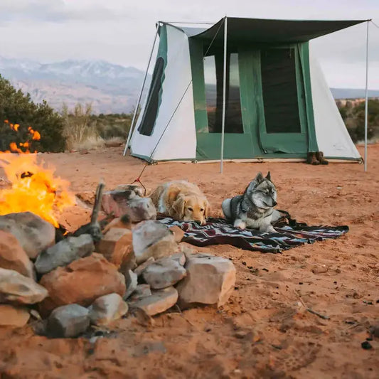 Prota Canvas Tent 10x10 by White Duck Outdoors; green canvas, two dogs on striped blanket on Tampa Home & Garden Store