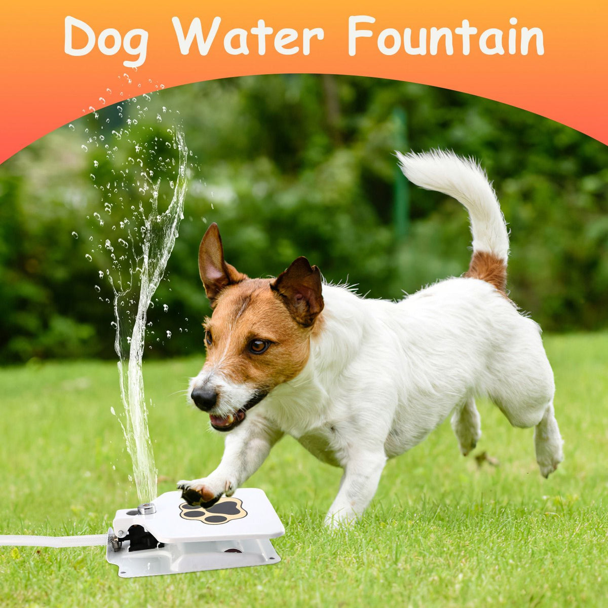 Outdoor Dog Water Fountain step-on dispenser, white with paw-print lid, Mercantile Mountain on Tampa Home & Garden Store