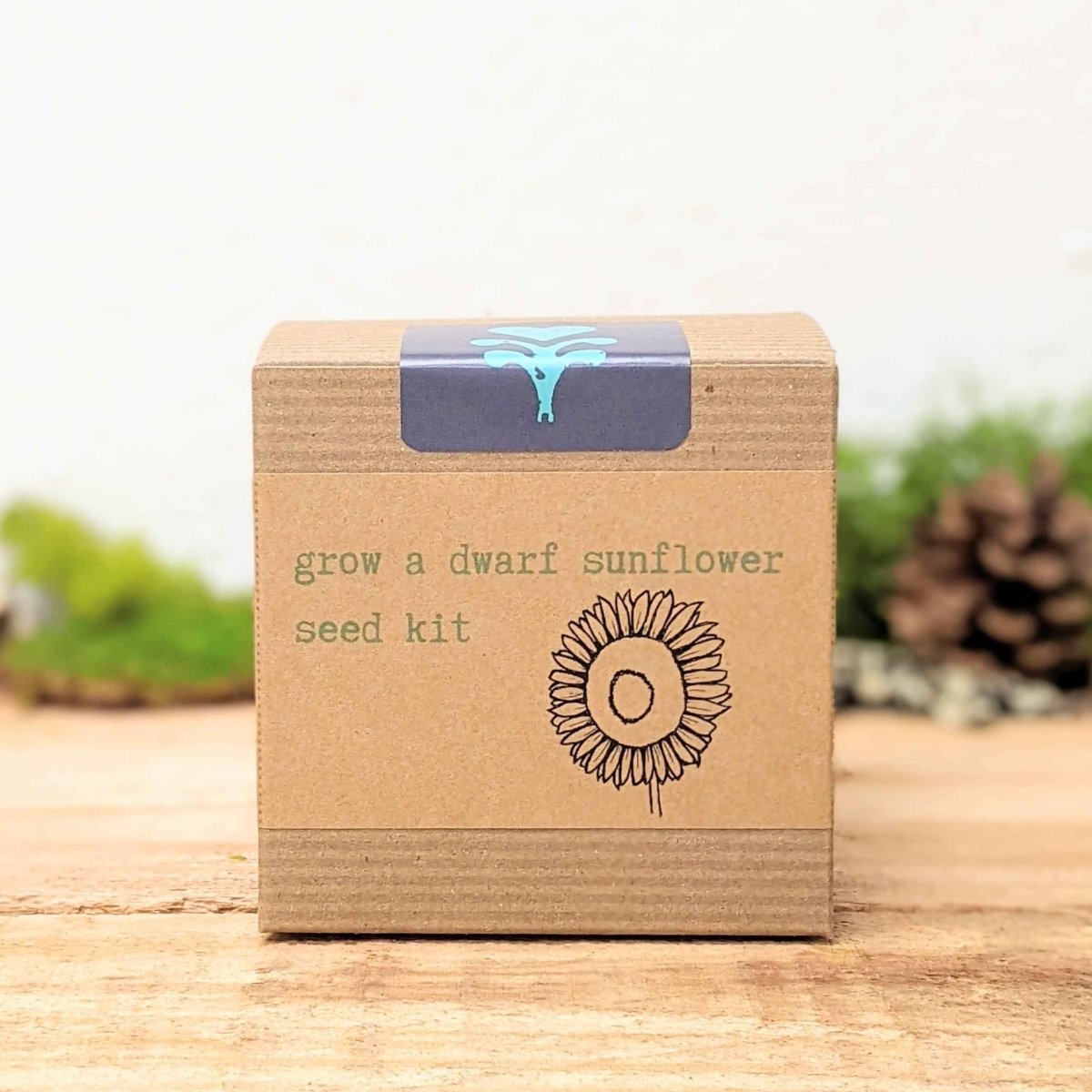 Dwarf sunflower seed kit for beginners Plantflix in a brown box with sunflower graphic on Tampa Home & Garden Store