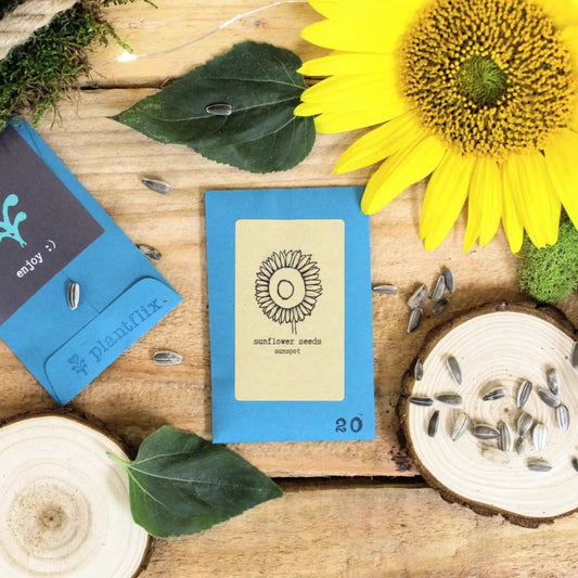 Dwarf Sunflower Grow Kit with Plantflix blue seed packet and sunflower image on wood backdrop on Tampa Home & Garden Store