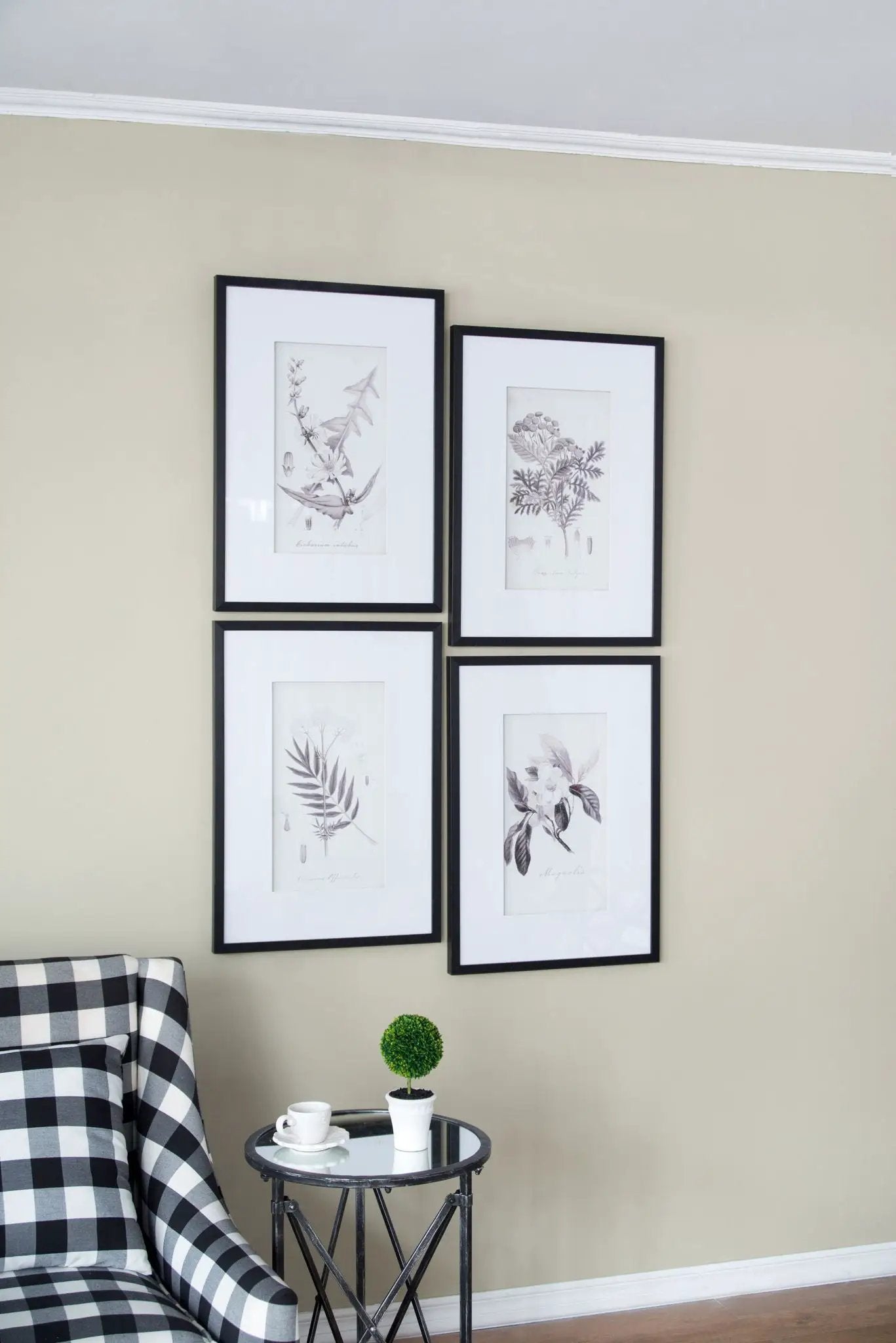 Botanical Wall Art Prints set of 4 in black frames with white mats, botanical illustrations on Tampa Home & Garden Store