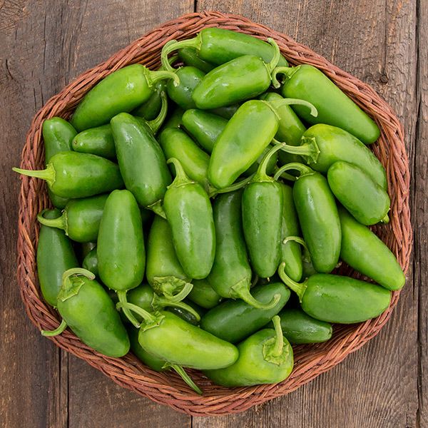 Early Jalapeno Hot Pepper green peppers in a wicker basket on Tampa Home & Garden Store
