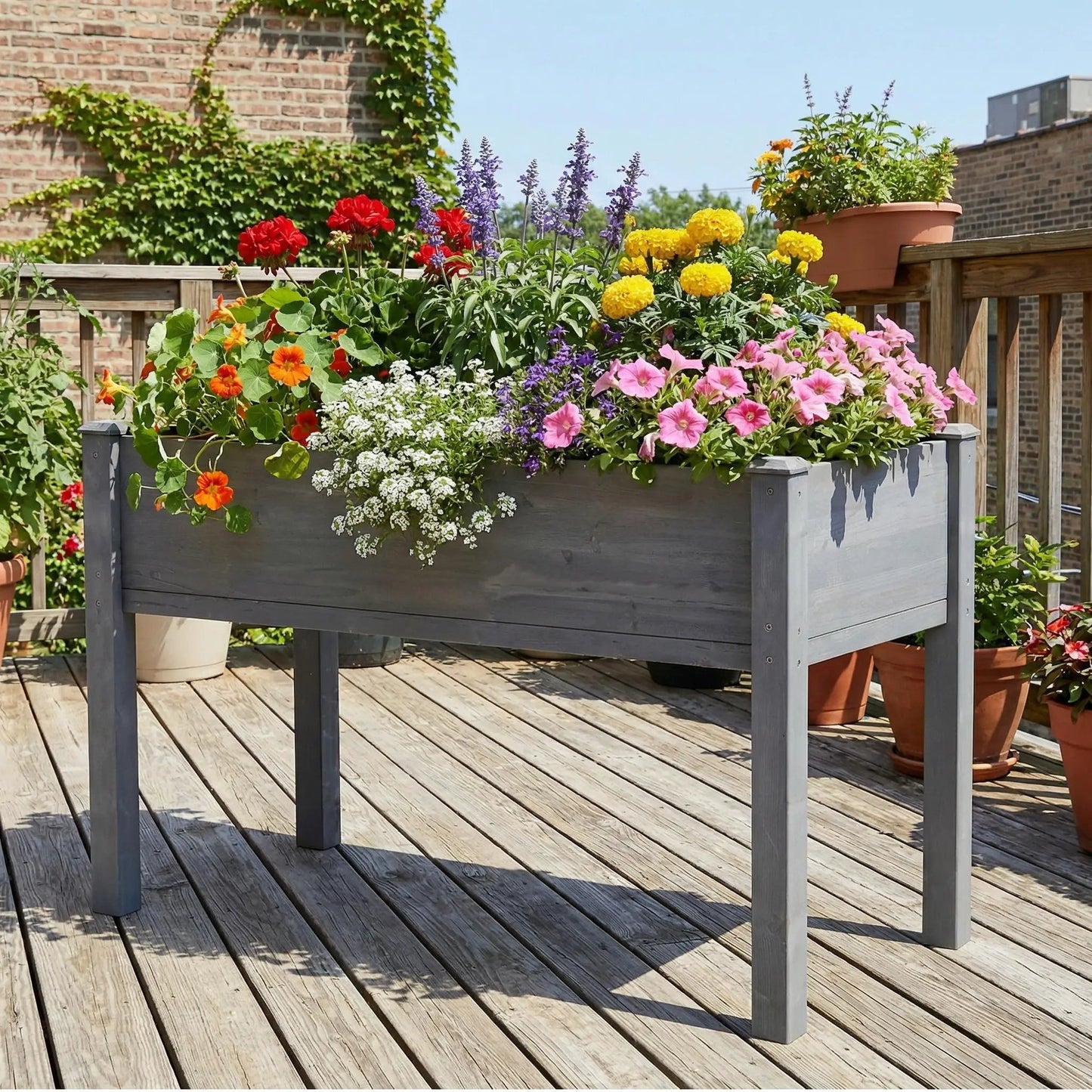 Elevated gray garden bed on a deck with red geraniums, purple lavender, yellow marigolds on Tampa Home & Garden Store